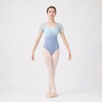Light Blue & Gray